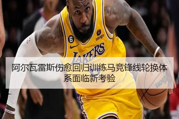 阿尔瓦雷斯伤愈回归训练马竞锋线轮换体系面临新考验（CSLBuyBalls）